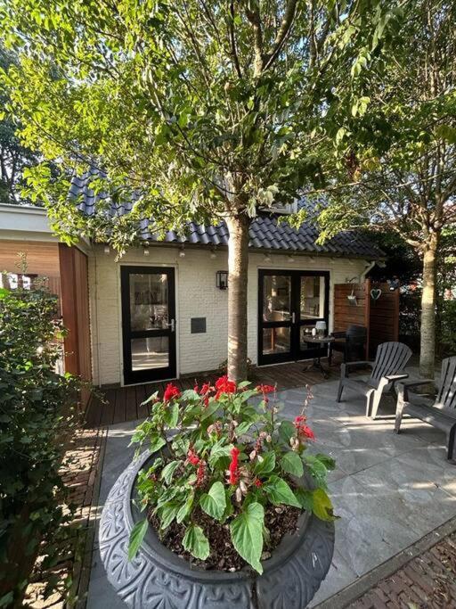 Vakantiehuis Bijsaar โนร์ดวิก ภายนอก รูปภาพ